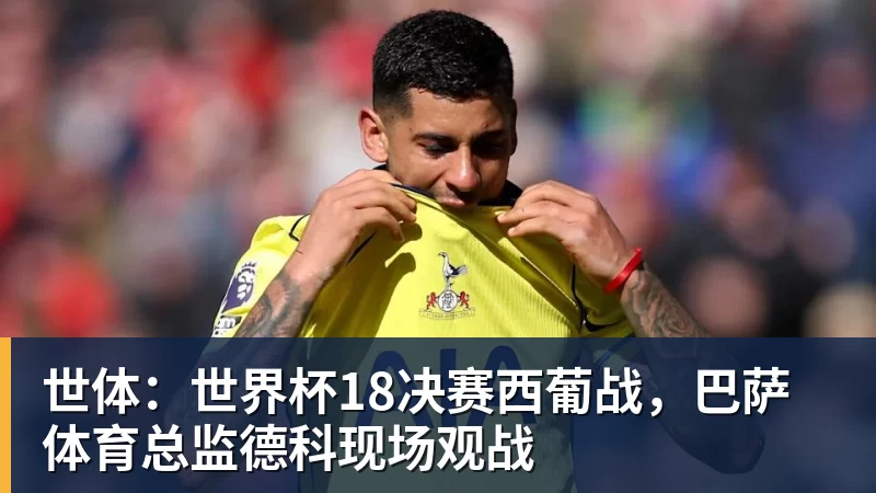世体：世界杯18决赛西葡战，巴萨体育总监德科现场观战