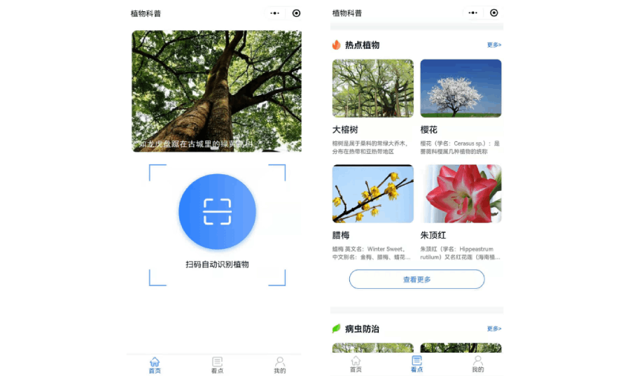 植物科普扫码系统